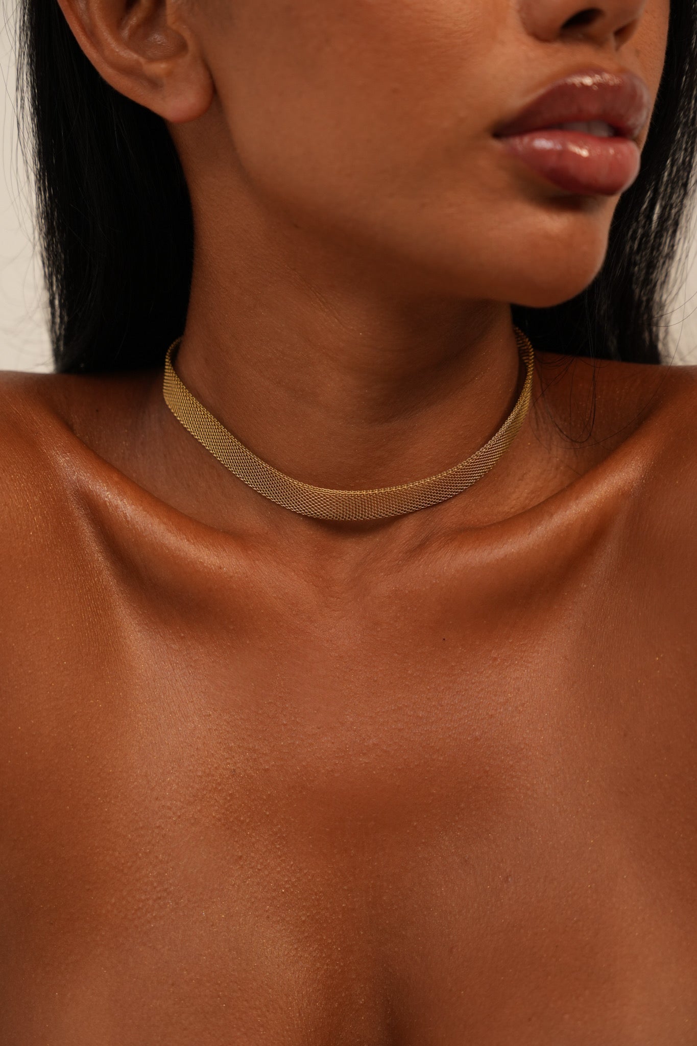 Sahariana Chocker Necklace